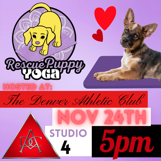 Rescue Puppy Yoga - The Denver Athletic Club