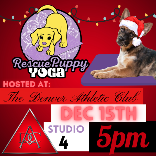 Rescue Puppy Yoga - The Denver Athletic Club