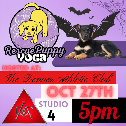 Rescue Puppy Yoga - The Denver Athletic Club