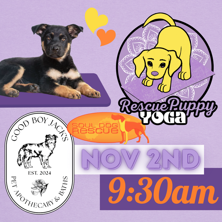 Rescue Puppy Yoga Good Boy Jack’s Pet Apothecary Prana Puppy Yoga