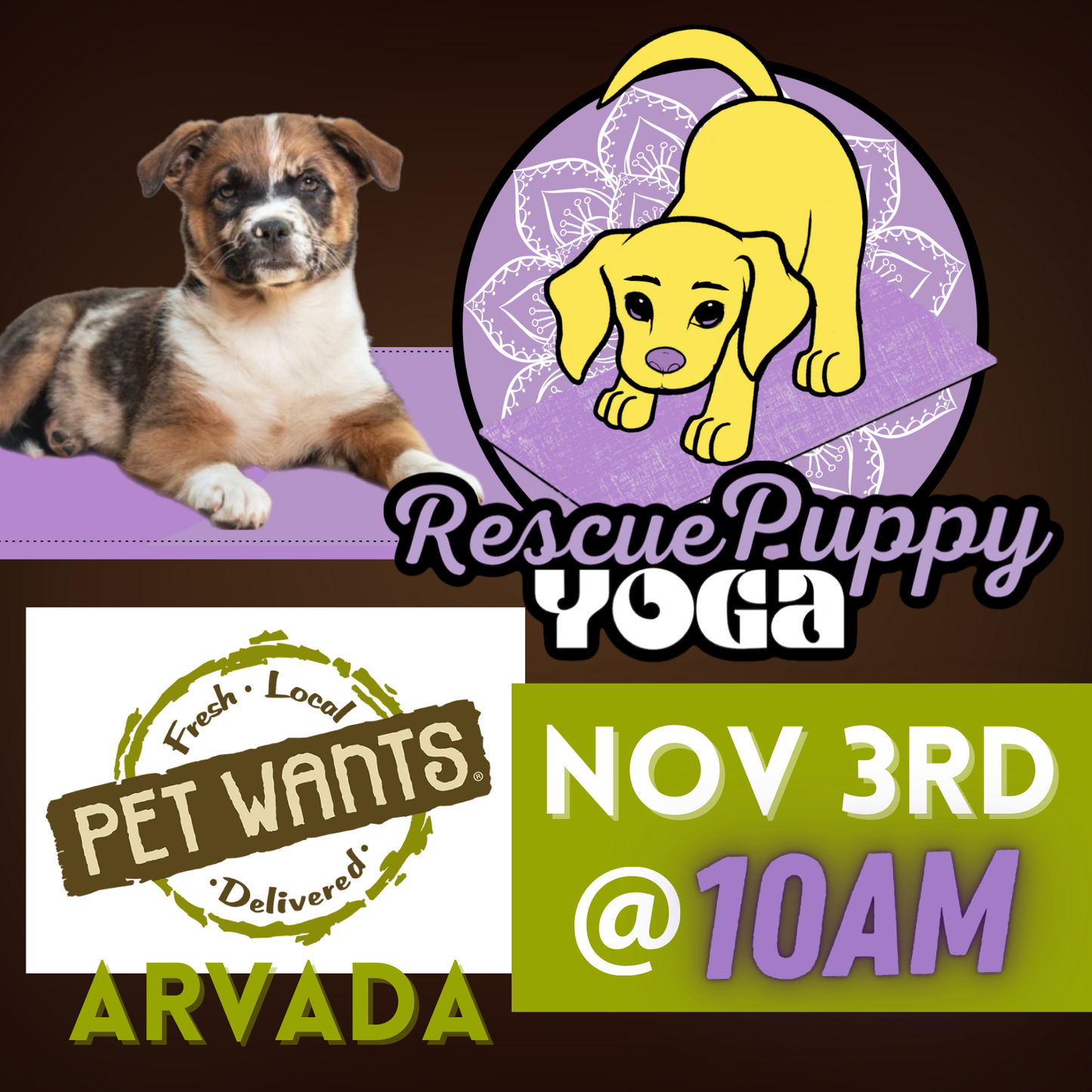 Rescue Puppy Yoga - Pet Wants Arvada