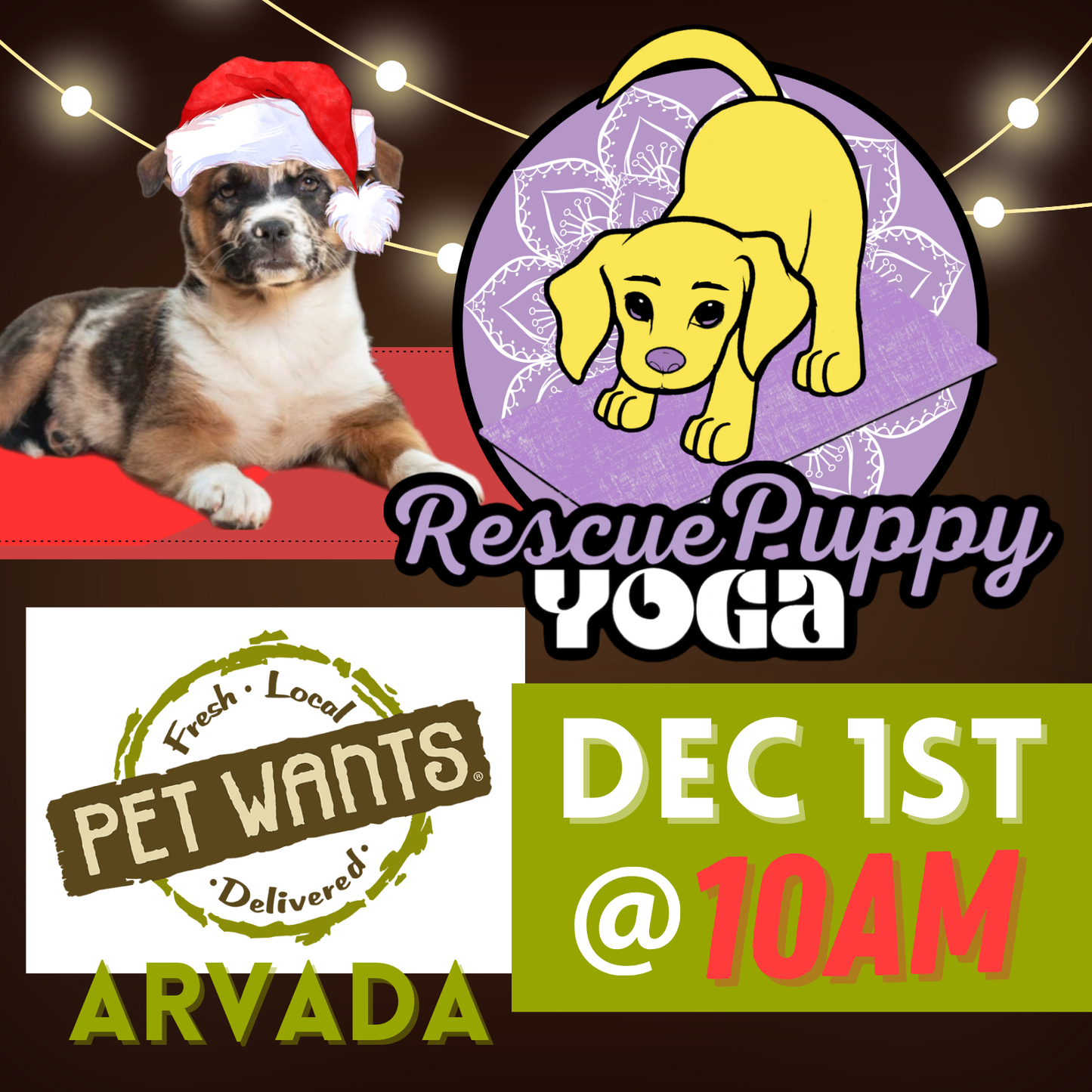 Rescue Puppy Yoga - Pet Wants Arvada