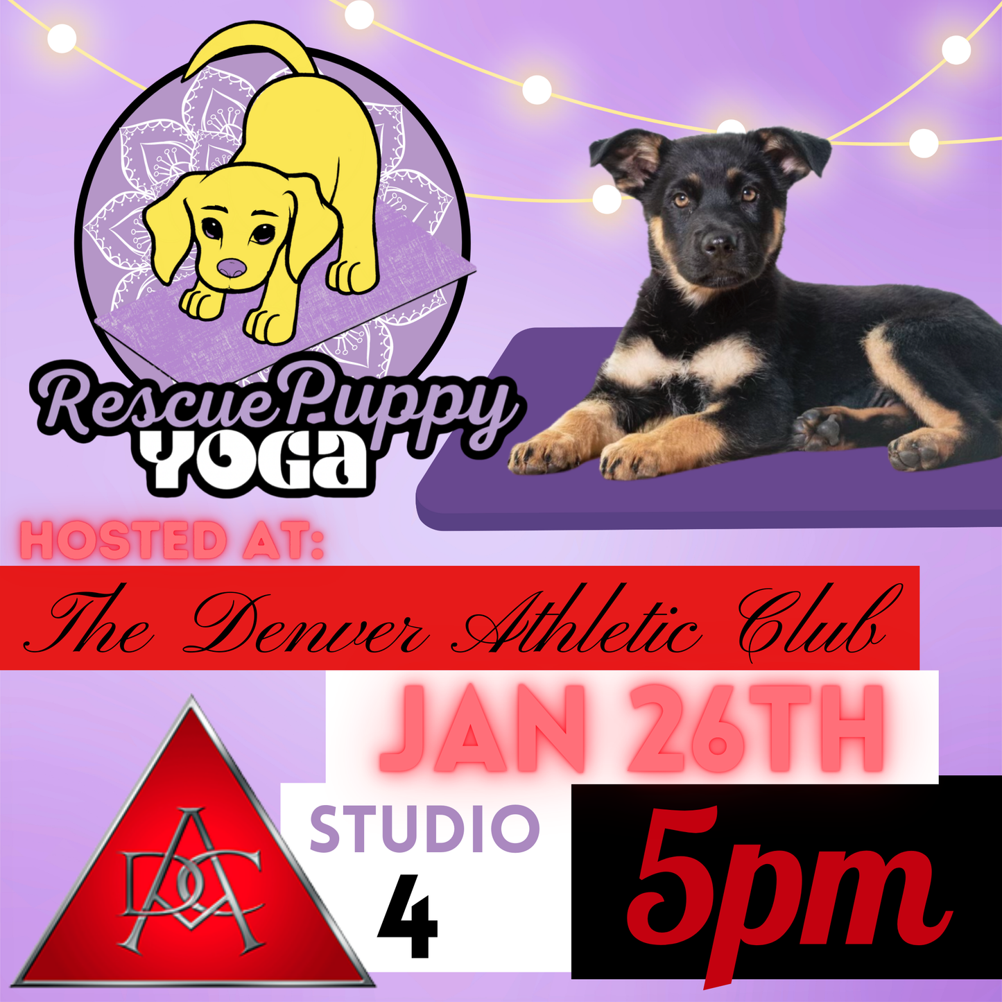 Rescue Puppy Yoga - The Denver Athletic Club