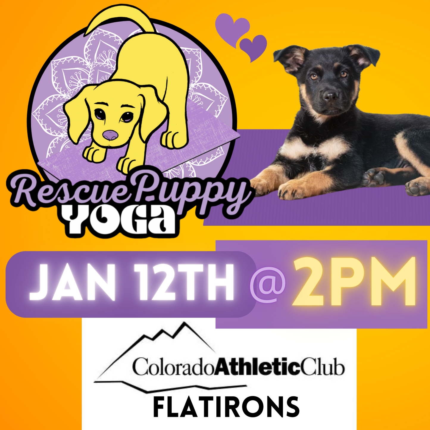 Rescue Puppy Yoga - Colorado Athletic Club Flatirons