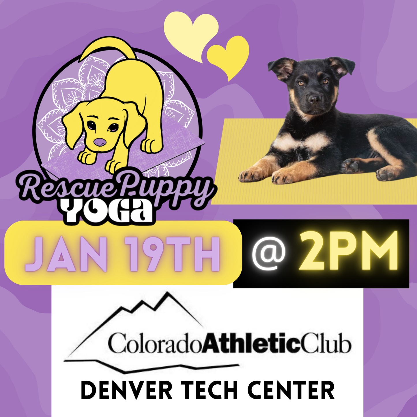 Rescue Puppy Yoga - Colorado Athletic Club Denver Tech Center