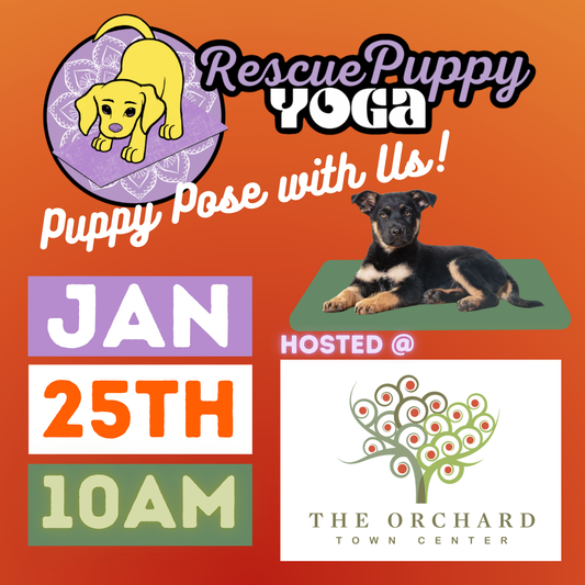 Rescue Puppy Yoga - The Orchard Town Center