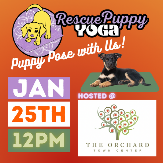 Rescue Puppy Yoga - The Orchard Town Center