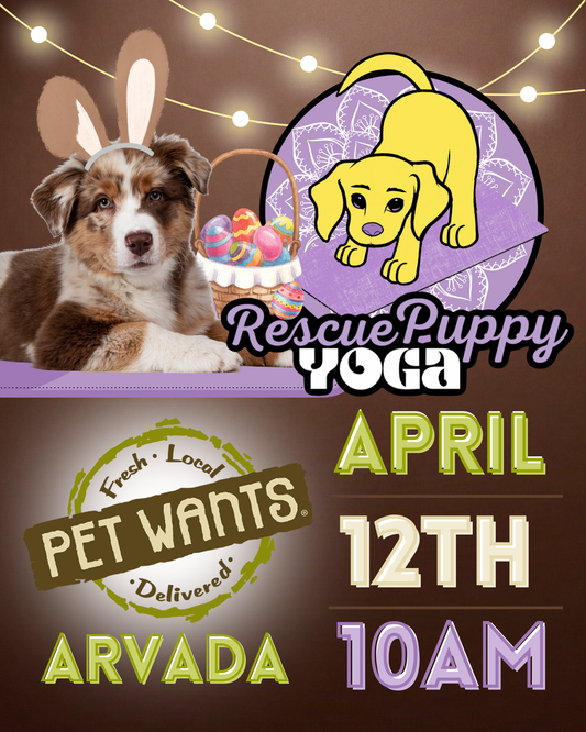 Rescue Puppy Yoga - Pet Wants Arvada