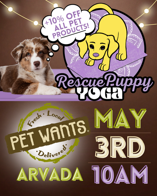 Rescue Puppy Yoga - Pet Wants Arvada