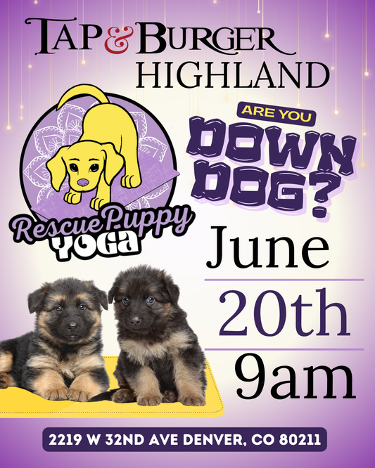 Rescue Puppy Yoga - Highland Tap & Burger