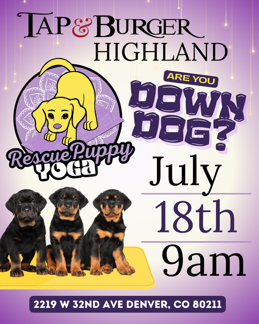 Rescue Puppy Yoga - Highland Tap & Burger