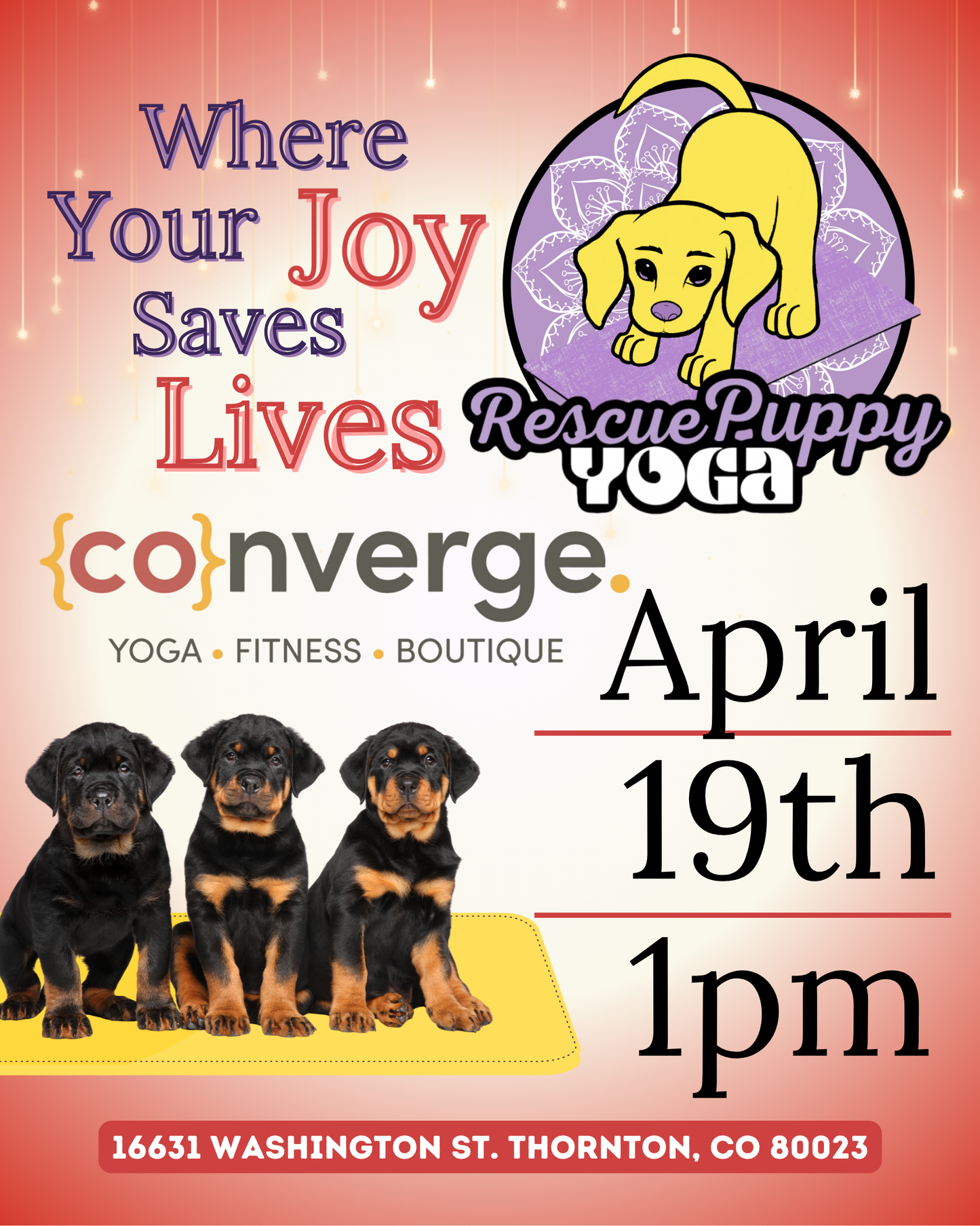 Rescue Puppy Yoga - Converge Yoga