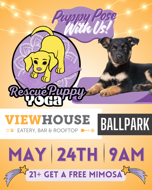 Rescue Puppy Yoga - ViewHouse Ballpark