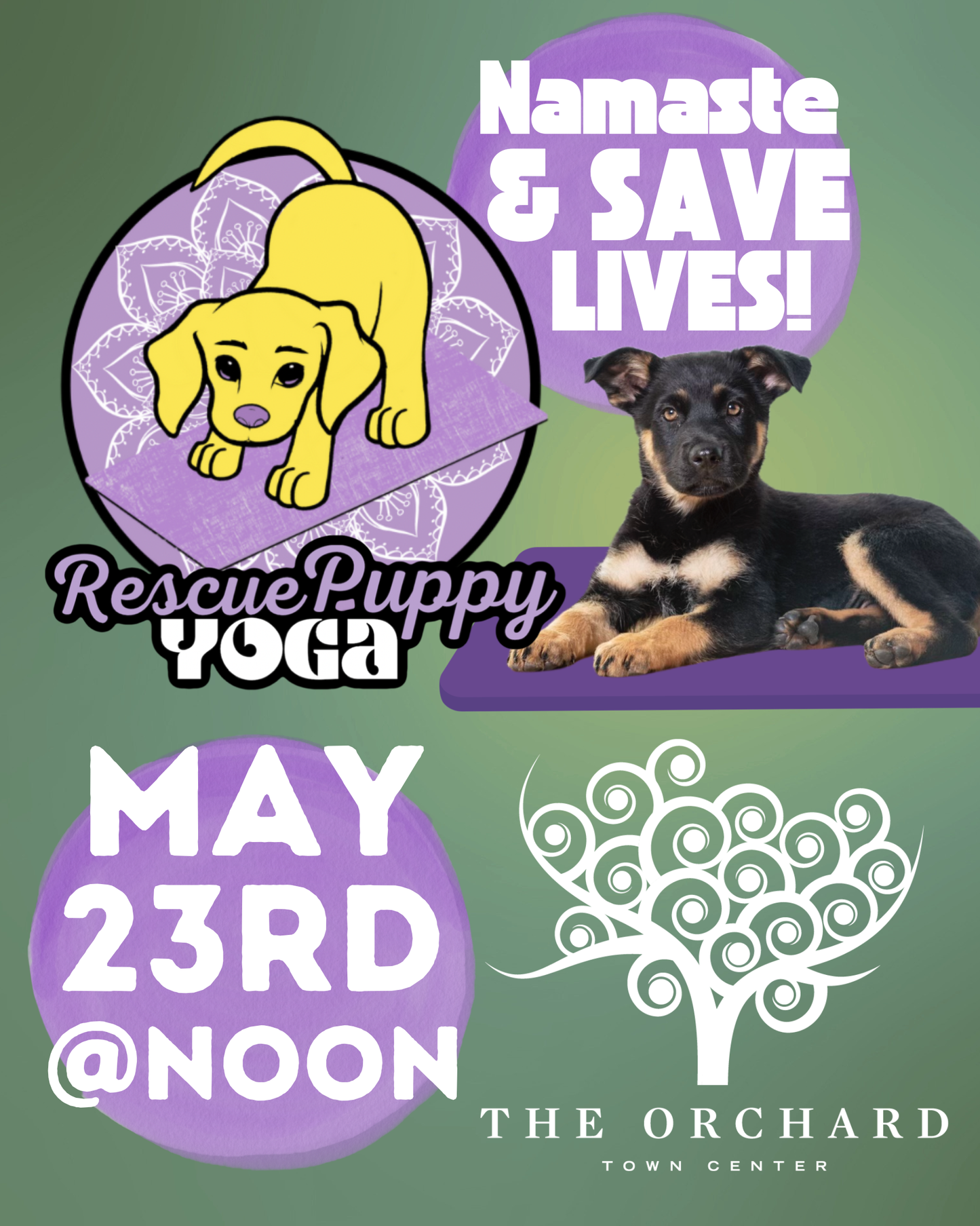 Rescue Puppy Yoga - The Orchard Town Center