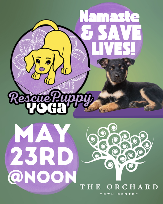 Rescue Puppy Yoga - The Orchard Town Center