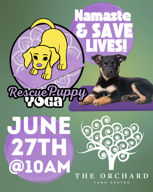 Rescue Puppy Yoga - The Orchard Town Center
