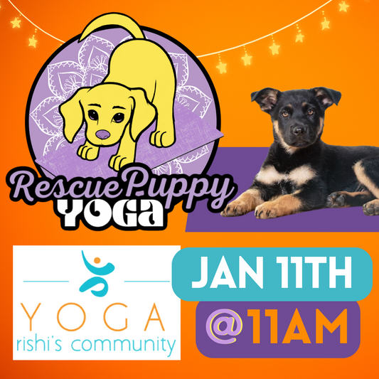 Rescue Puppy Yoga - Rishi’s Community Yoga 11am