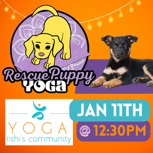 Rescue Puppy Yoga - Rishi’s Community Yoga 12:30pm