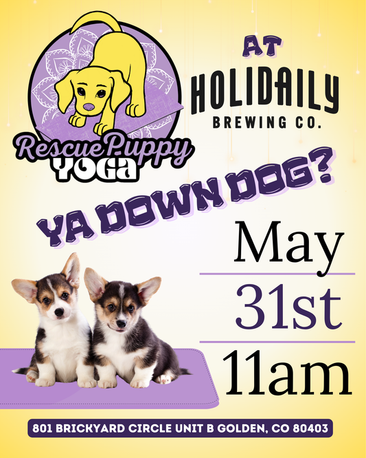 Rescue Puppy Yoga - Holidaily Brewing
