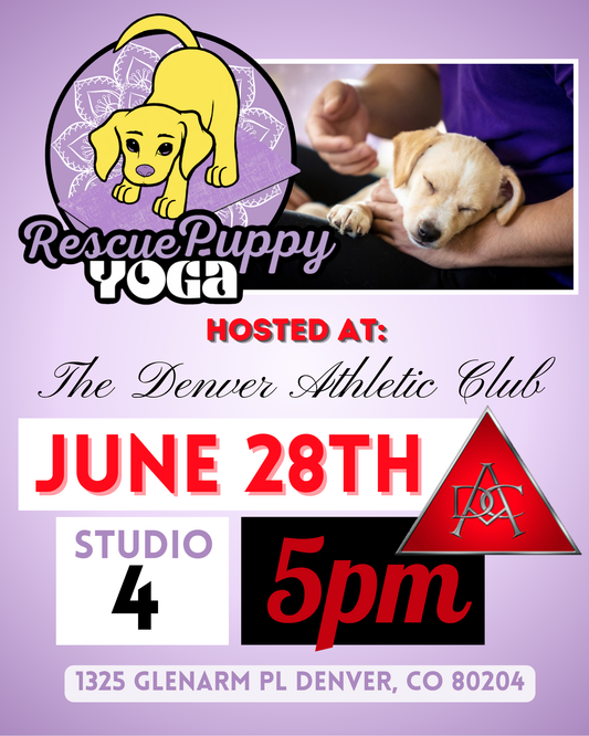 Rescue Puppy Yoga - The Denver Athletic Club