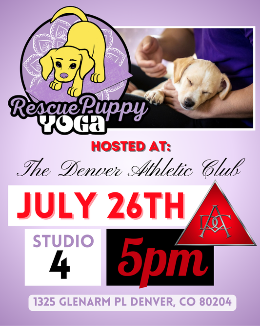 Rescue Puppy Yoga - The Denver Athletic Club