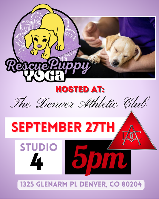 Rescue Puppy Yoga - The Denver Athletic Club