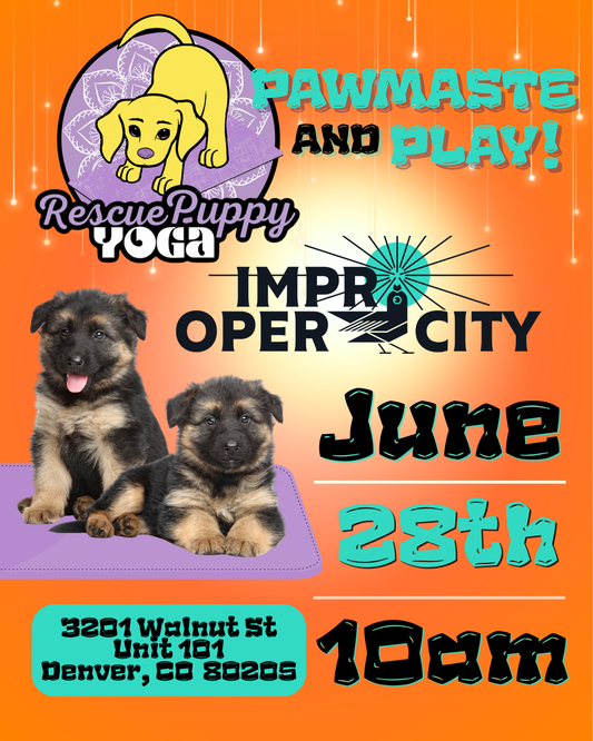 Rescue Puppy Yoga - Improper City