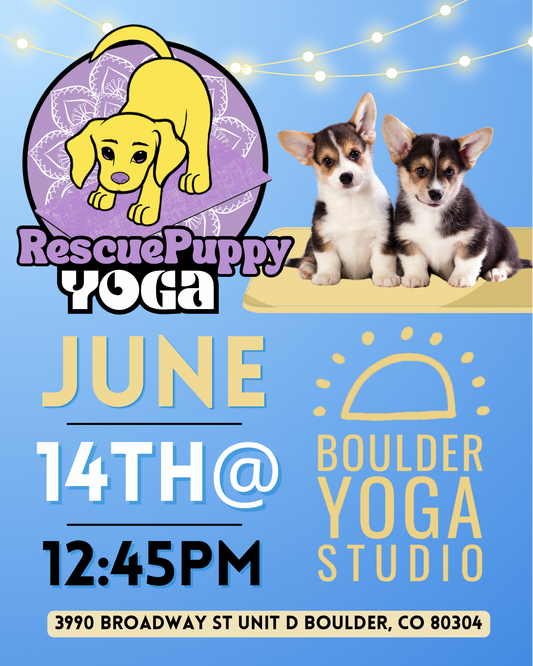 Rescue Puppy Yoga - Boulder Yoga Studio