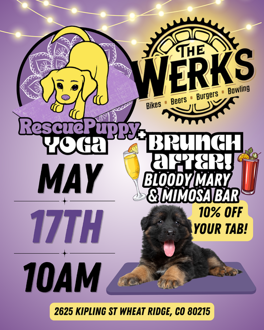 Rescue Puppy Yoga - The Werks