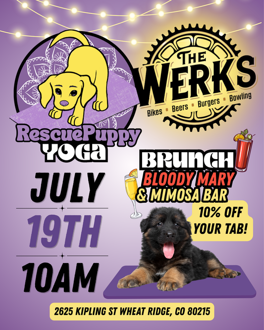 Rescue Puppy Yoga - The Werks