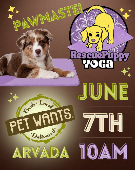 Rescue Puppy Yoga - Pet Wants Arvada