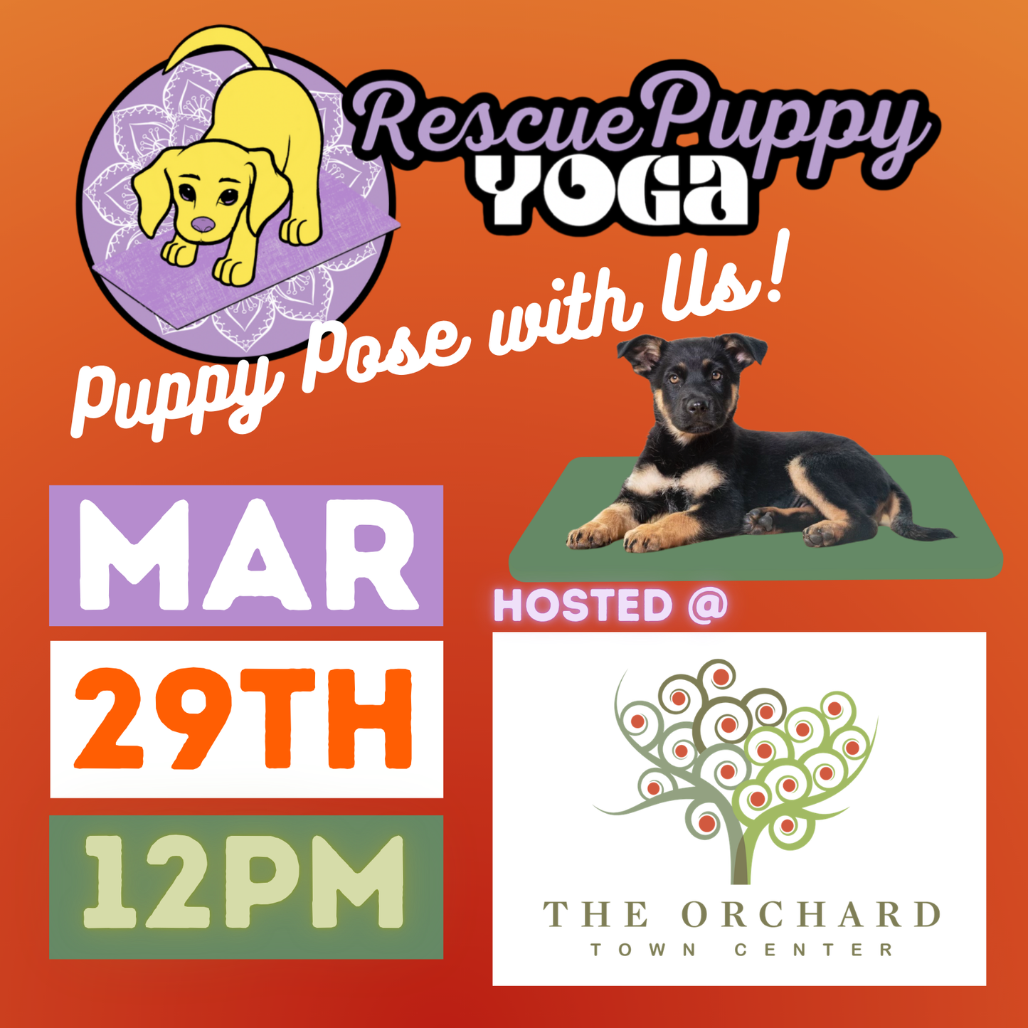 Rescue Puppy Yoga - The Orchard Town Center