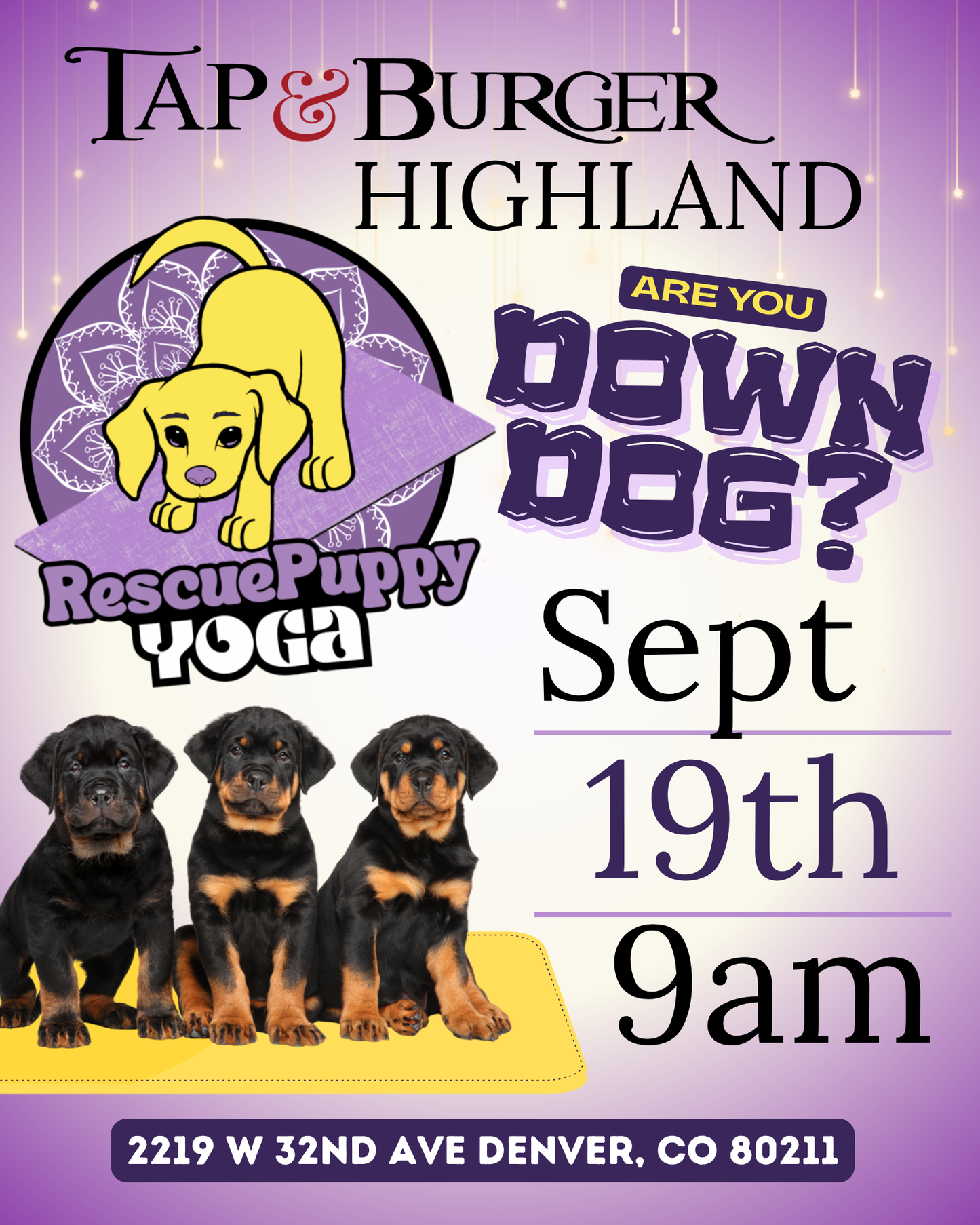 Rescue Puppy Yoga - Highland Tap & Burger