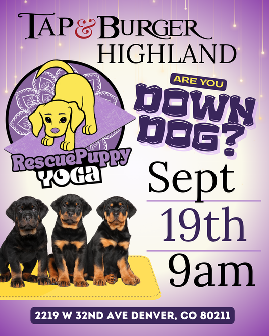 Rescue Puppy Yoga - Highland Tap & Burger
