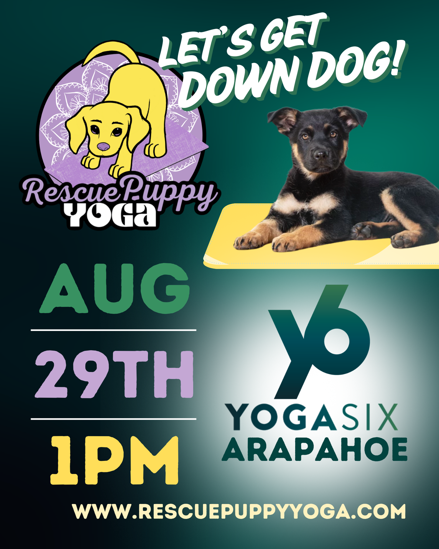 Rescue Puppy Yoga - YogaSix Arapahoe