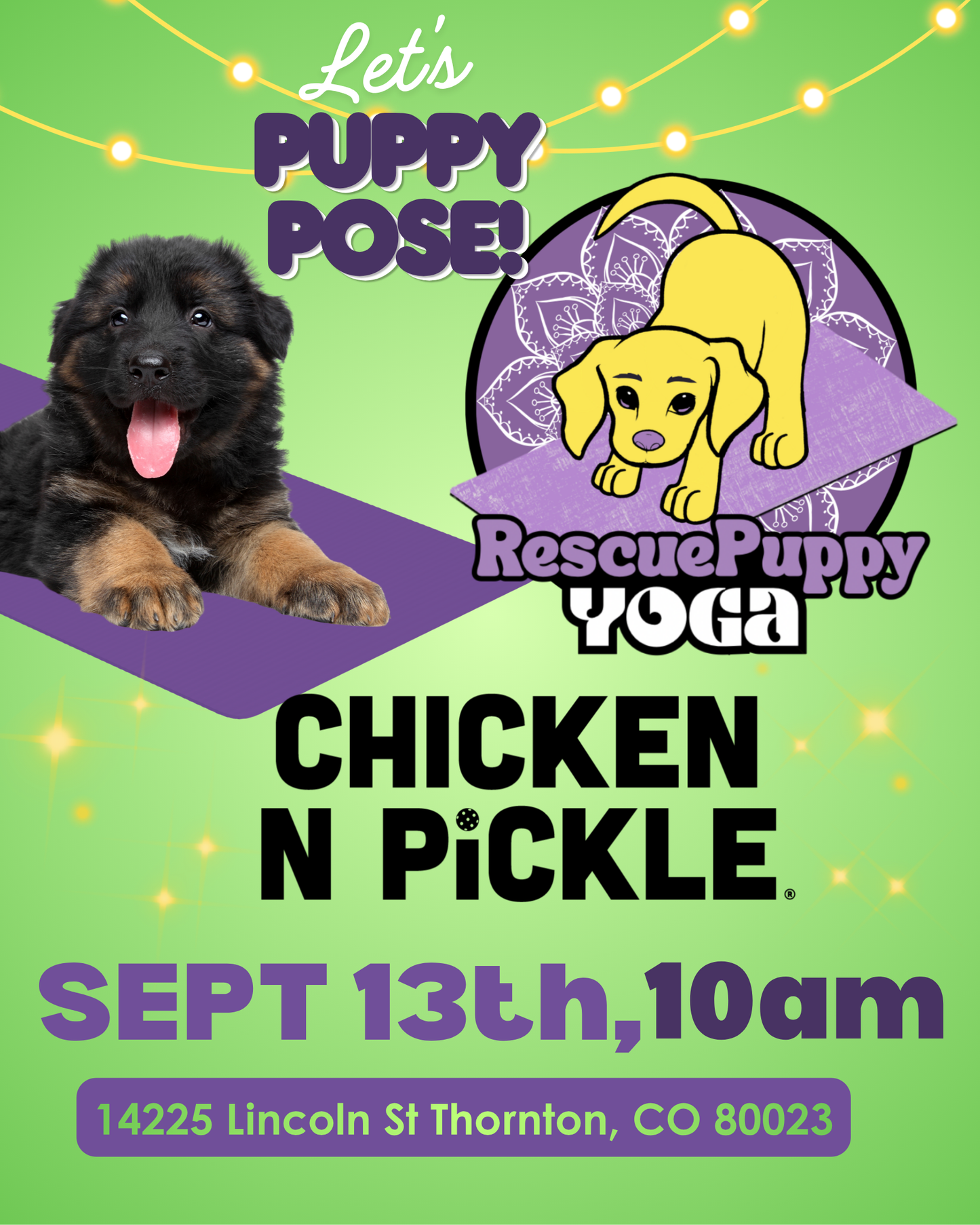 Rescue Puppy Yoga - Chicken N Pickle