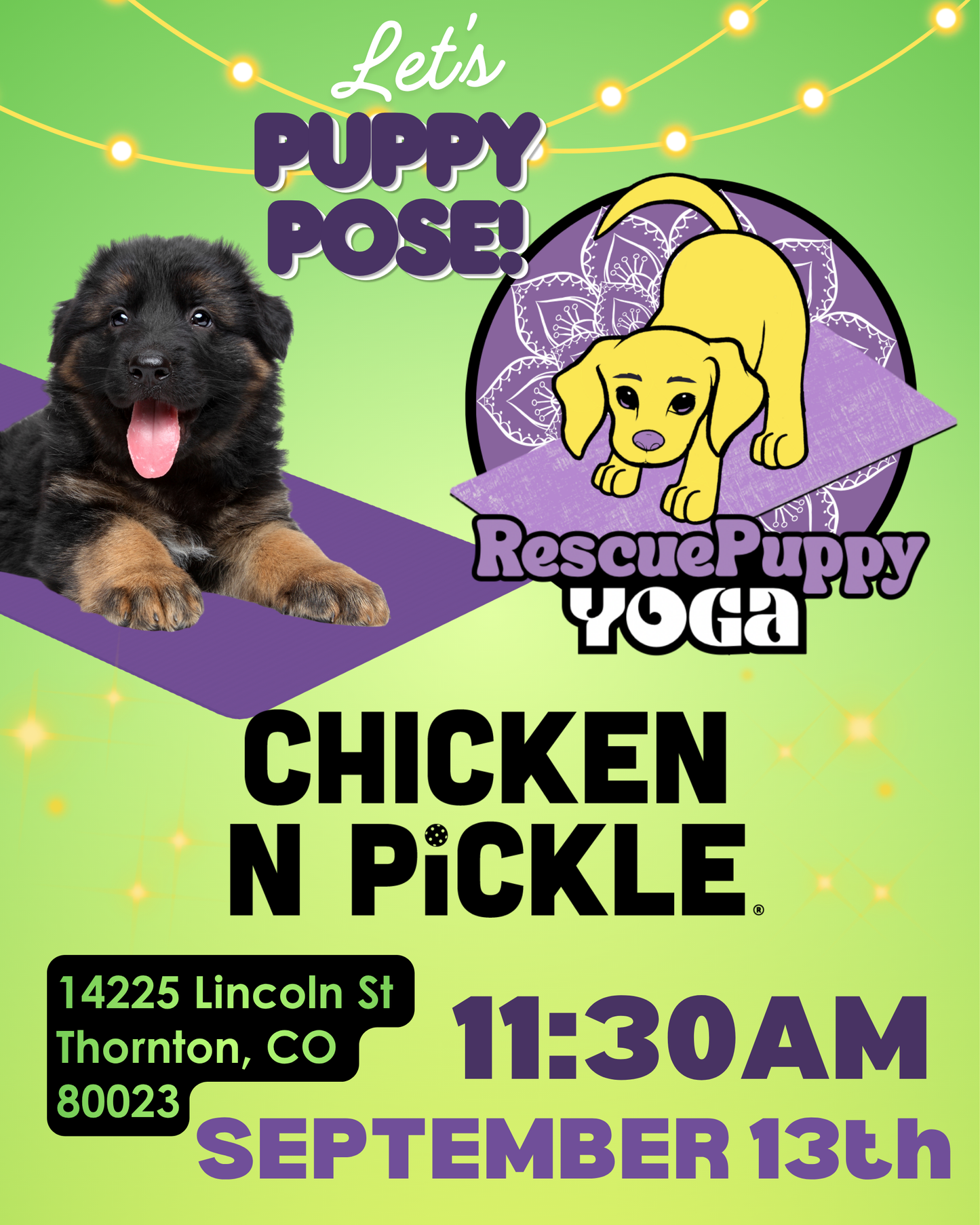 Rescue Puppy Yoga - Chicken N Pickle