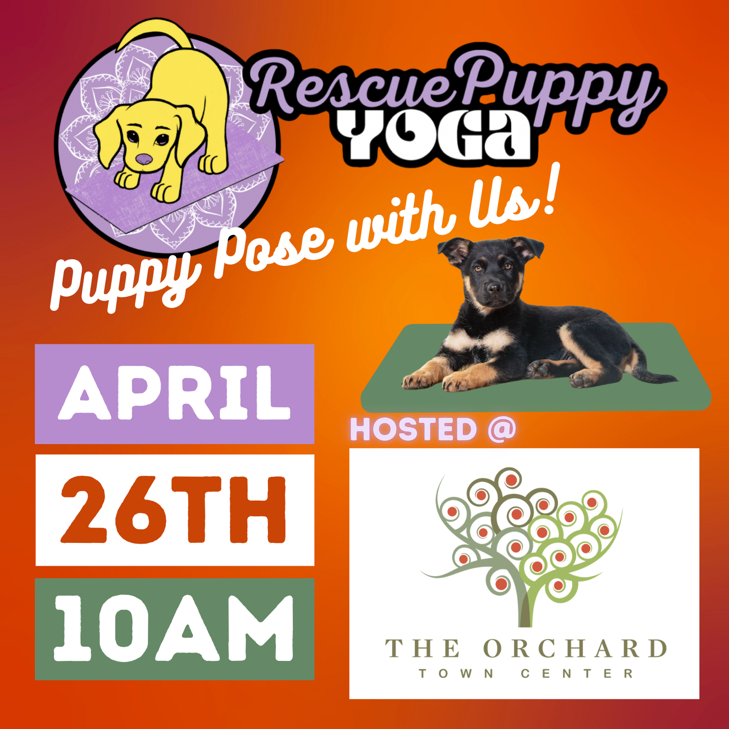 Rescue Puppy Yoga - The Orchard Town Center