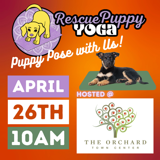 Rescue Puppy Yoga - The Orchard Town Center