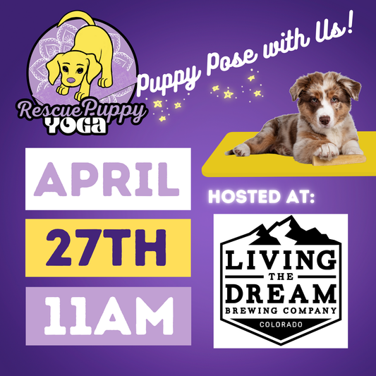 Rescue Puppy Yoga - Living the Dream Brewing