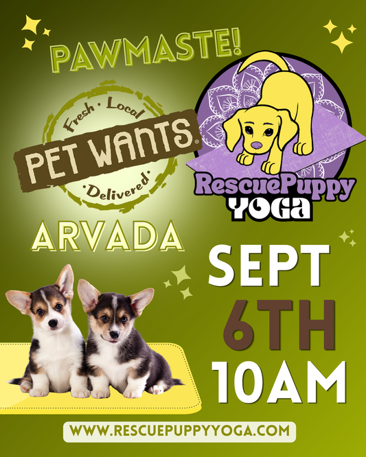 Rescue Puppy Yoga - Pet Wants Arvada