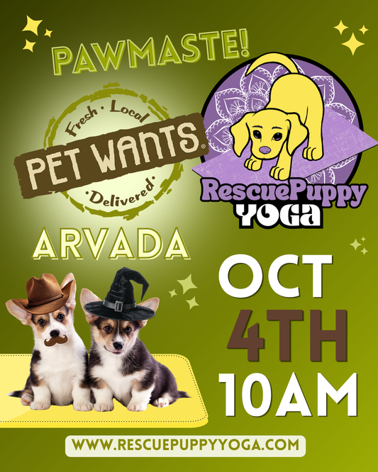 Rescue Puppy Yoga - Pet Wants Arvada