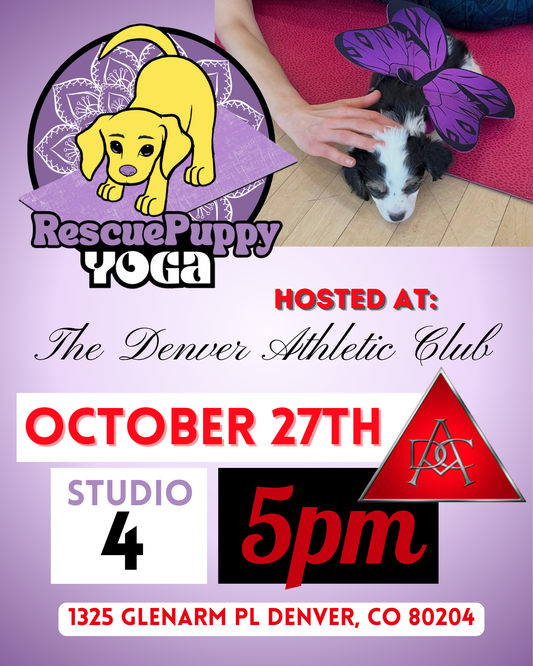 Rescue Puppy Yoga - The Denver Athletic Club