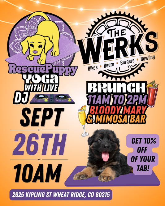 Rescue Puppy Yoga + Live DJ @ The Werks