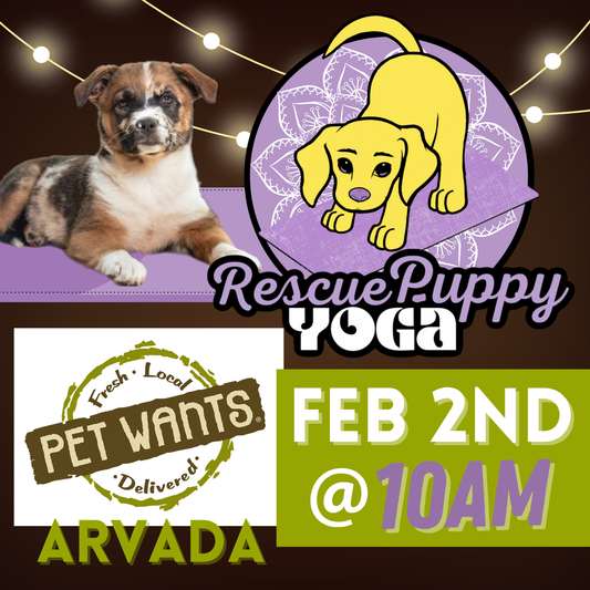 Rescue Puppy Yoga - Pet Wants Arvada