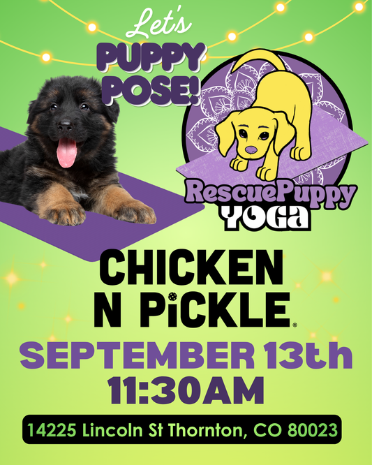 Rescue Puppy Yoga - Chicken N Pickle