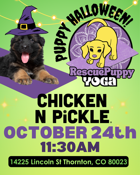 Rescue Puppy Yoga - Chicken N Pickle