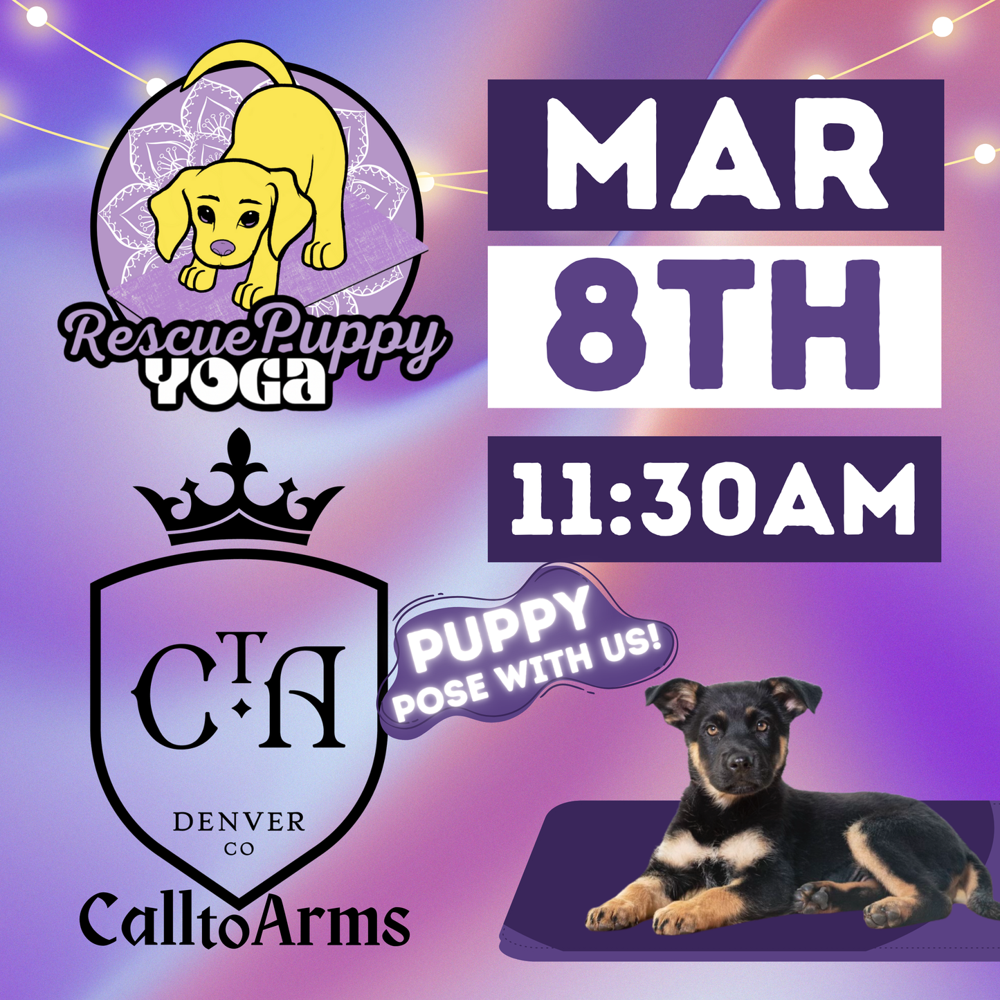 Rescue Puppy Yoga - Call to Arms Brewing Co.