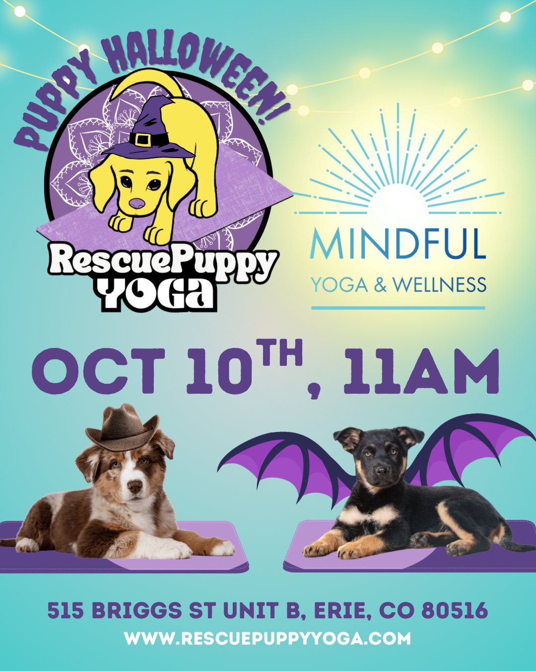 Rescue Puppy Yoga - Mindful Yoga & Wellness Erie, CO