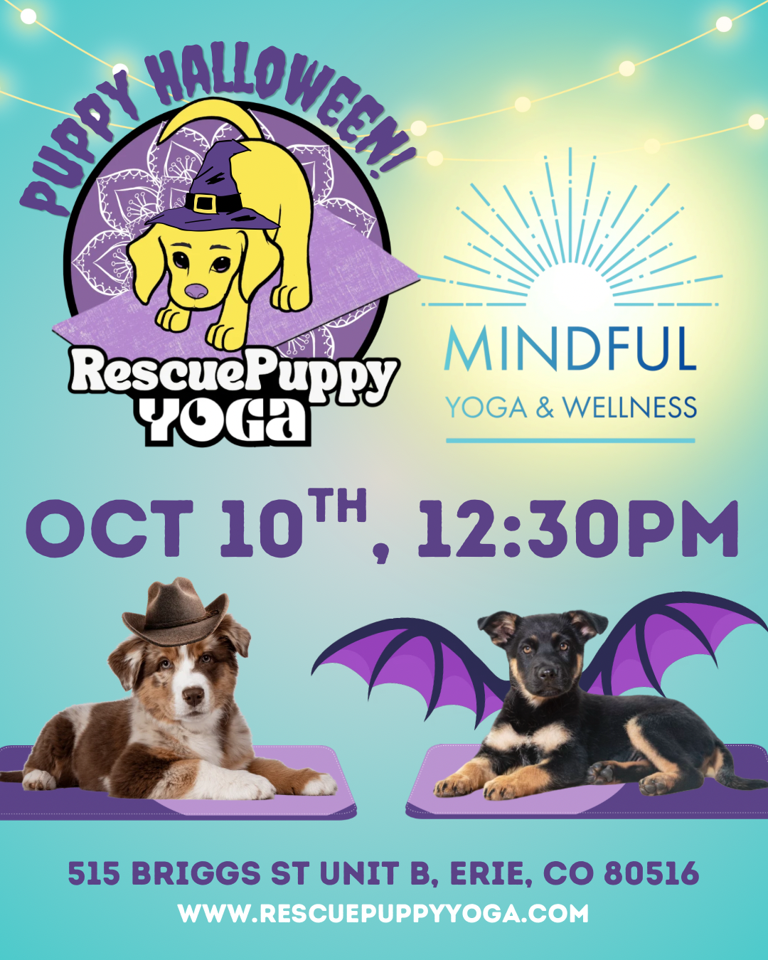 Rescue Puppy Yoga - Mindful Yoga & Wellness Erie, CO